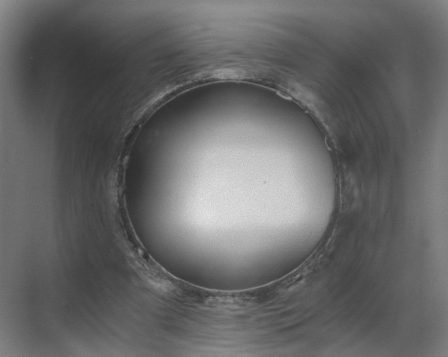 X0000069810297200605261755