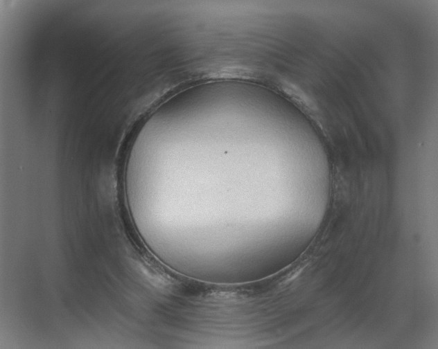 X0000069810298200605261755