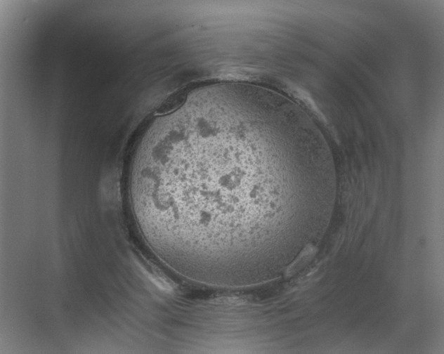 X0000069810299200605261755