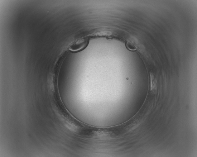 X0000069810300200605261755