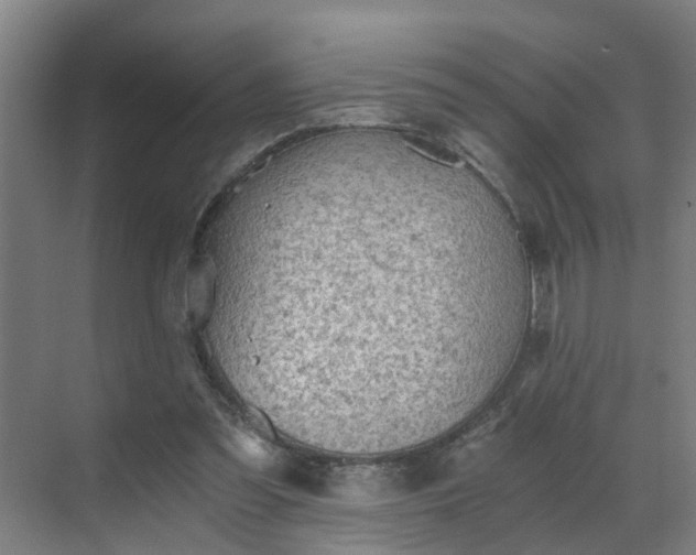 X0000069810301200605261755