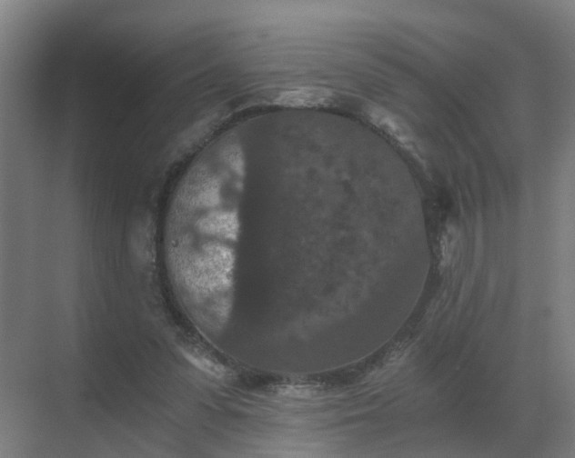 X0000069810303200605261755