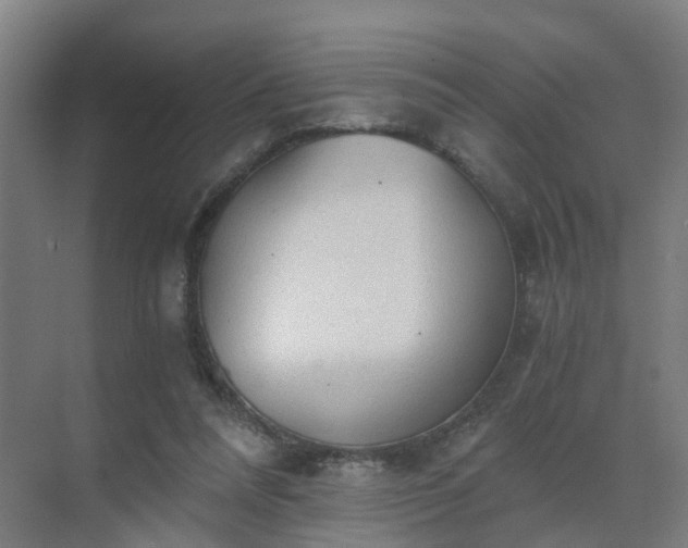 X0000069810304200605261755