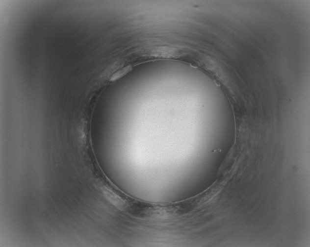 X0000069810305200605261755