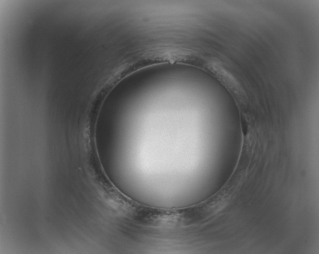 X0000069810306200605261755