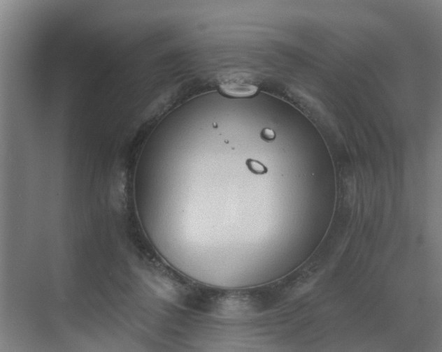 X0000069810308200605261755