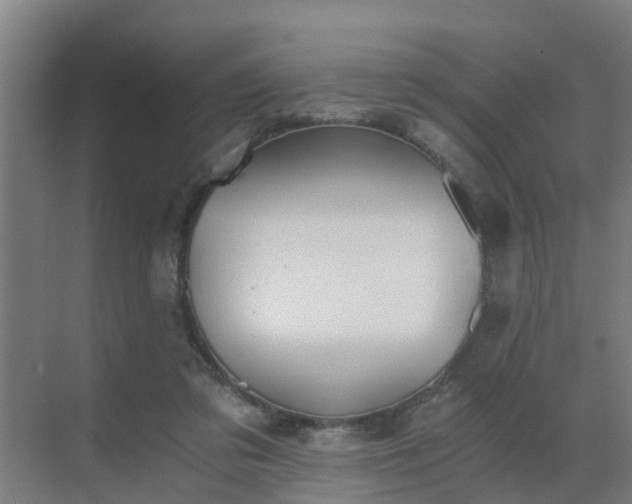 X0000069810309200605261755