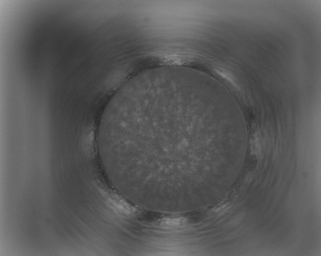 X0000069810314200605261755