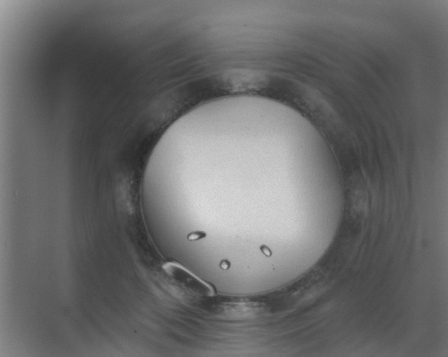 X0000069810316200605261755