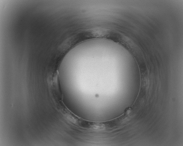 X0000069810317200605261755