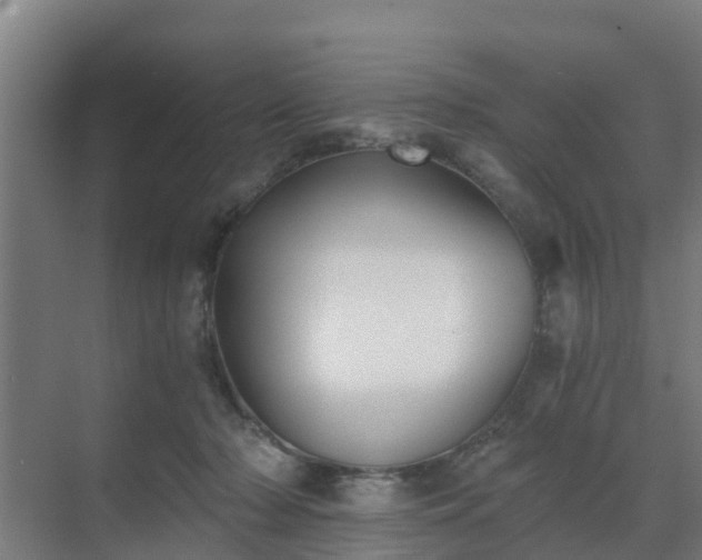 X0000069810318200605261755