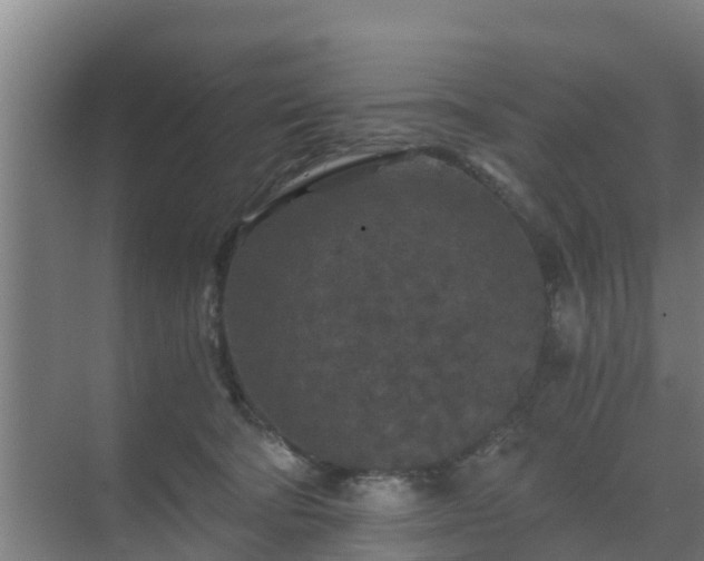 X0000069810322200605261755