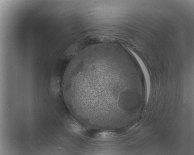 X0000069810323200605261755