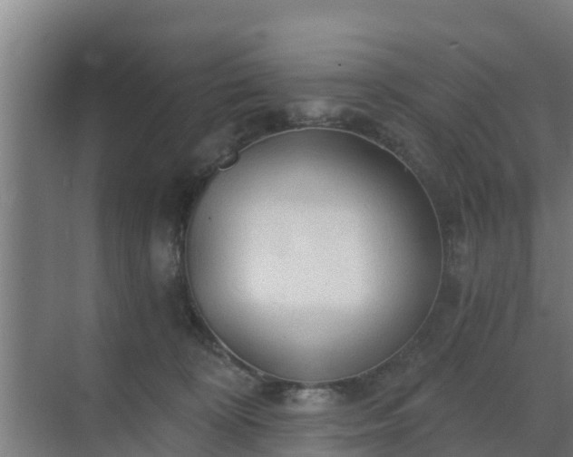 X0000069810324200605261755