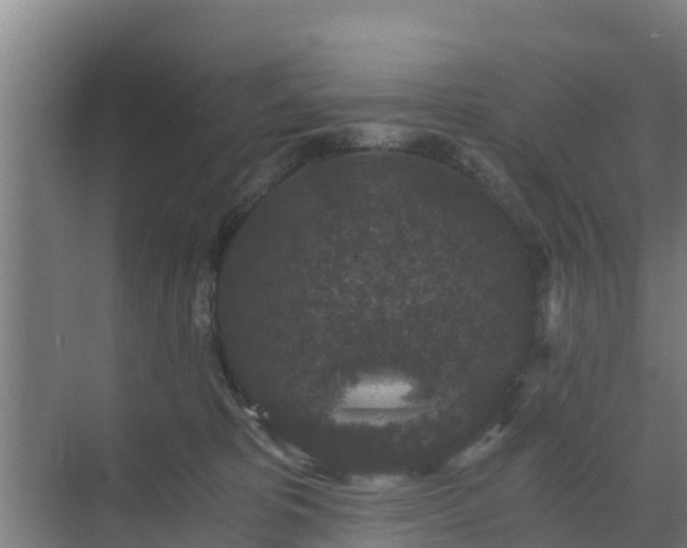 X0000069810325200605261755