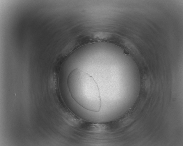 X0000069810328200605261755