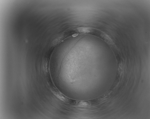 X0000069810330200605261755