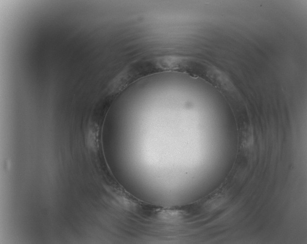 X0000069810332200605261755