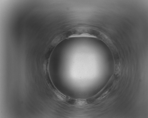 X0000069810333200605261755