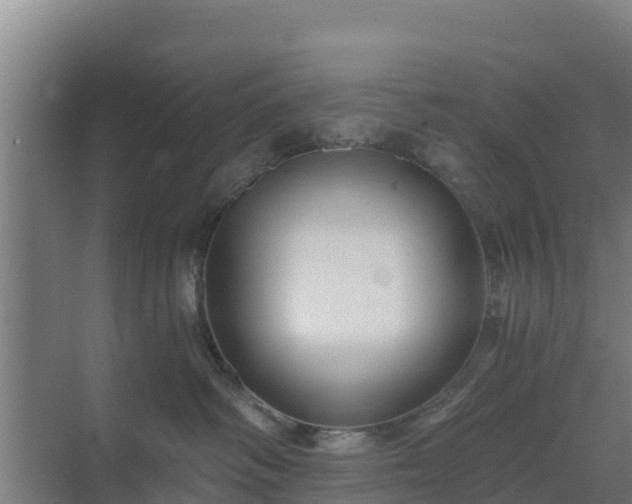 X0000069810334200605261755