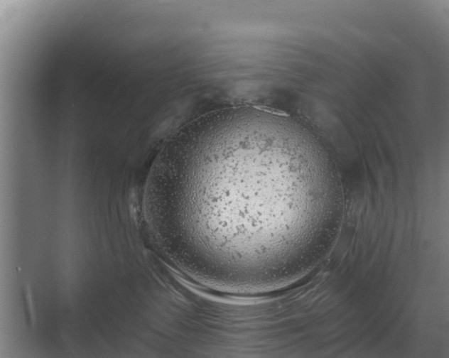 X0000069810335200605261755