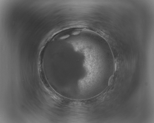 X0000069810339200605261754