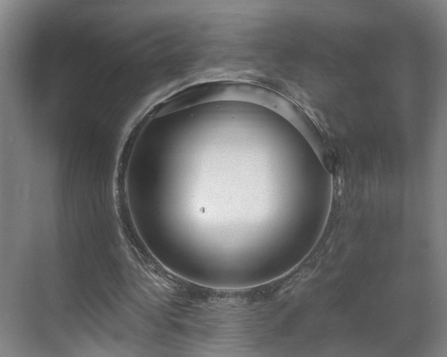 X0000069810340200605261754