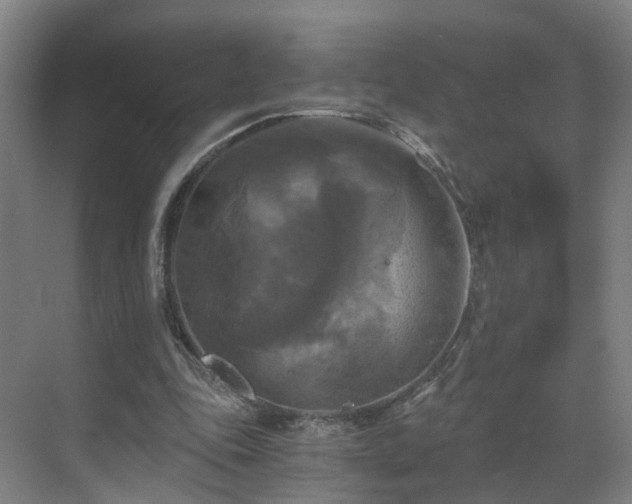 X0000069810343200605261754