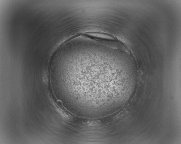 X0000069810345200605261754