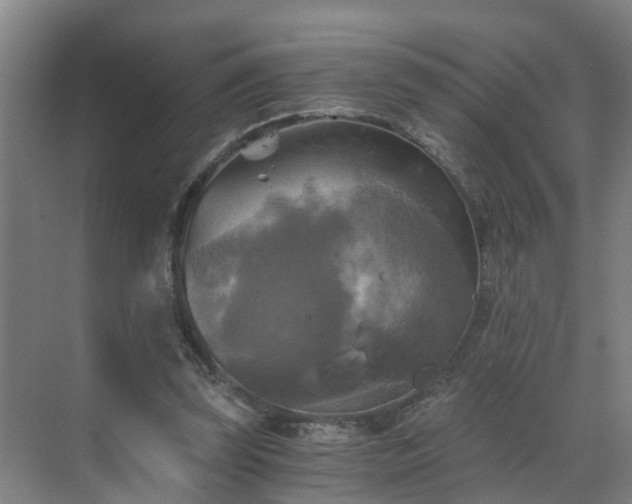 X0000069810347200605261754