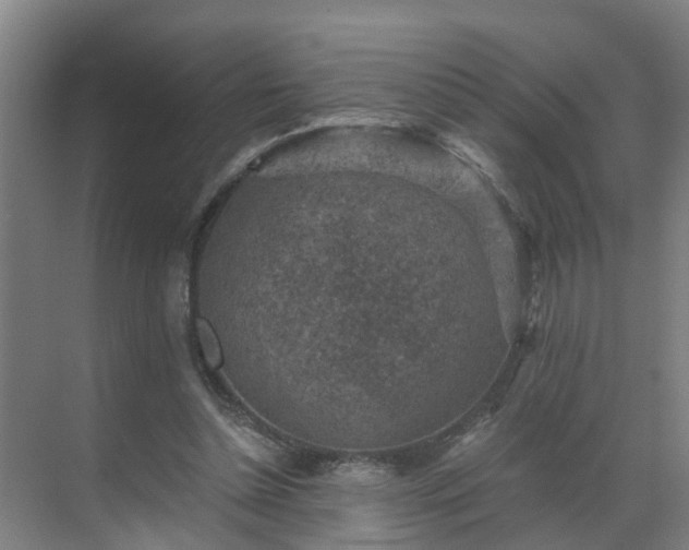 X0000069810348200605261754