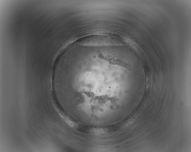 X0000069810349200605261754