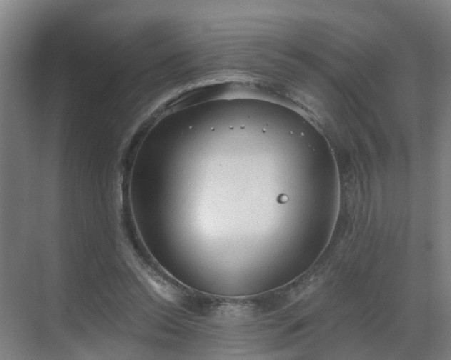 X0000069810350200605261754