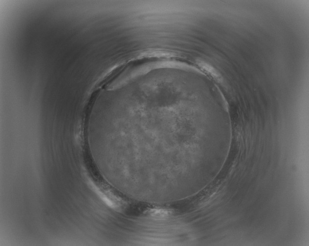 X0000069810352200605261754