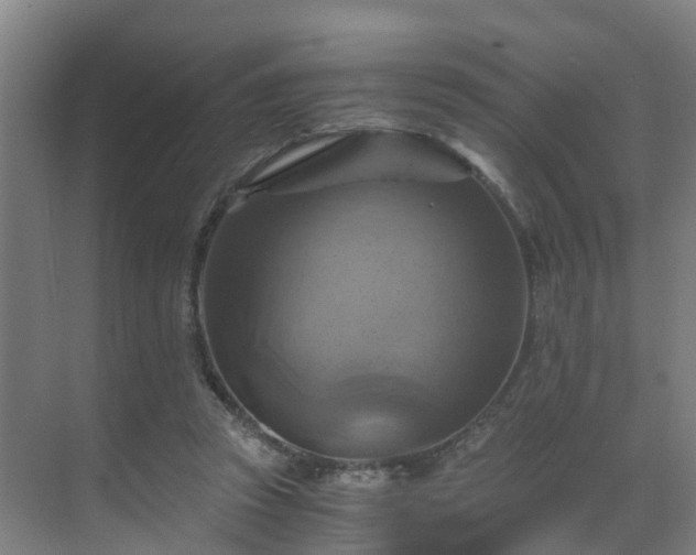 X0000069810353200605261754