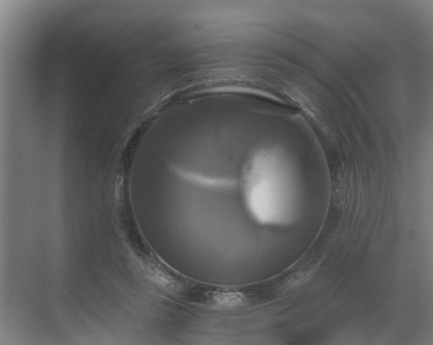 X0000069810355200605261754