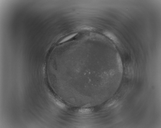 X0000069810357200605261754