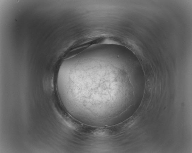 X0000069810358200605261754