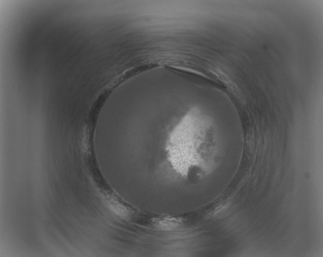 X0000069810359200605261754