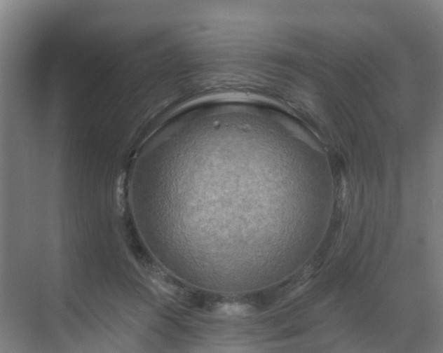 X0000069810360200605261754