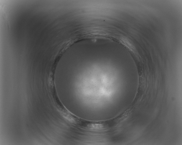 X0000069810361200605261754