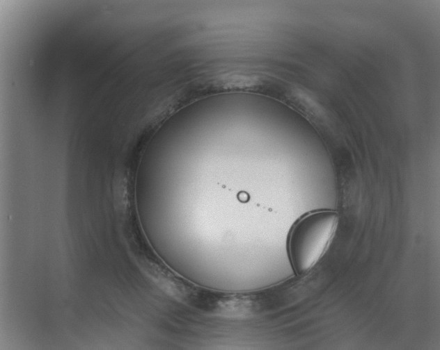 X0000069810362200605261754