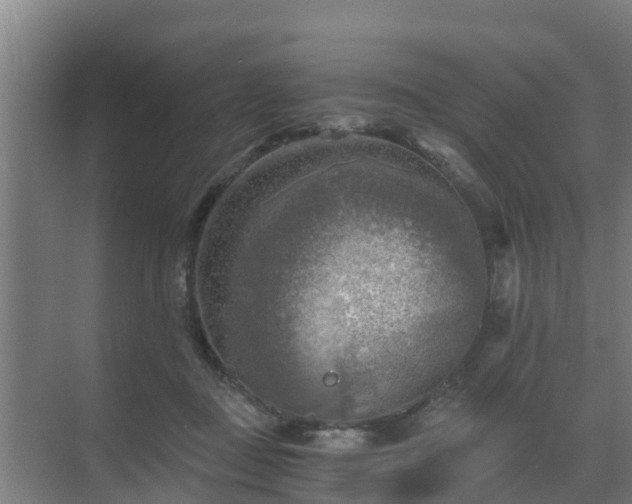 X0000069810363200605261754