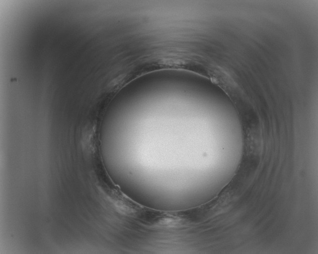 X0000069810364200605261754