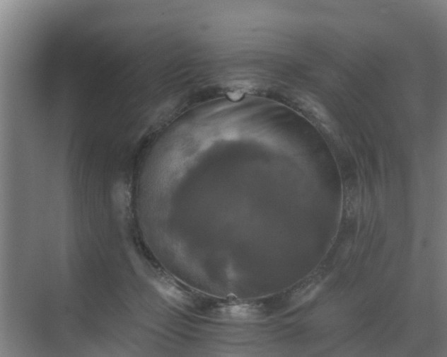 X0000069810365200605261754