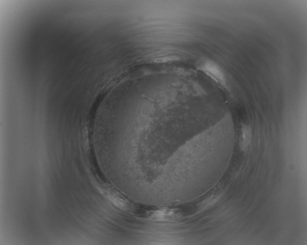 X0000069810366200605261754