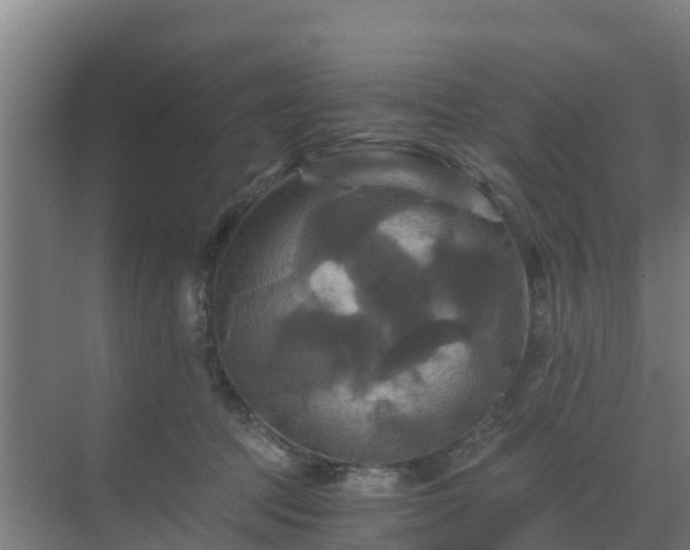 X0000069810369200605261754