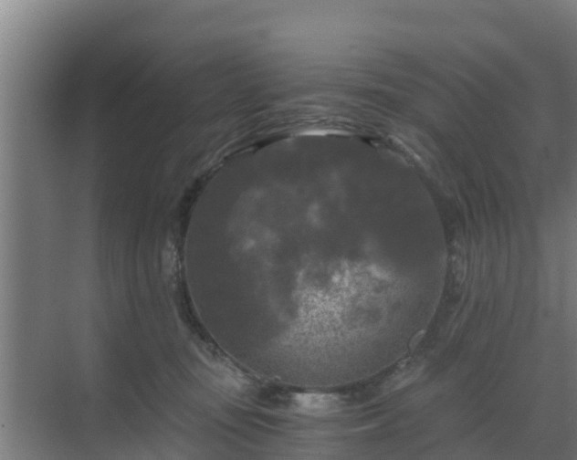 X0000069810371200605261755