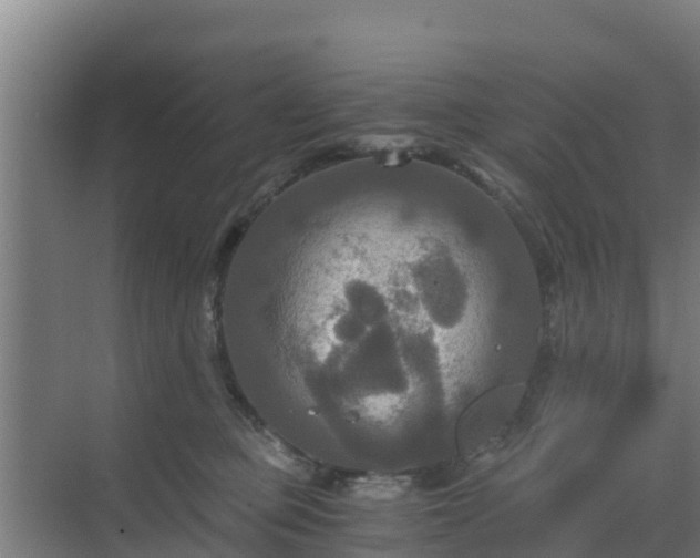 X0000069810373200605261755