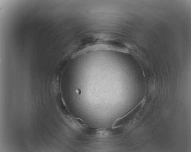 X0000069810376200605261755